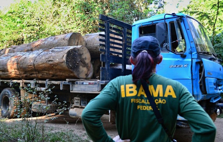 Ibama aplicou R$ 1,2 bilhão em multas nos seis primeiros meses do ano