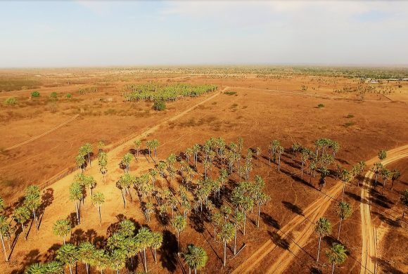 Pesquisa arqueológica no município de Russas – Ceará