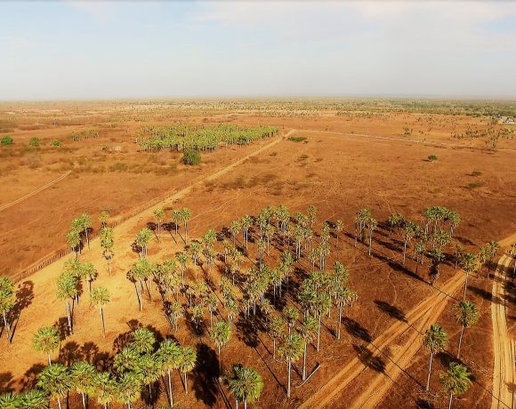 Pesquisa arqueológica no município de Russas – Ceará