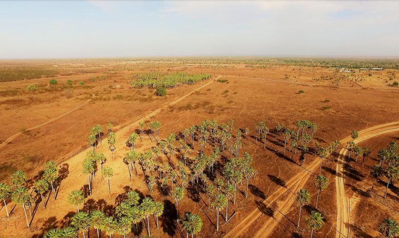 Pesquisa arqueológica no município de Russas – Ceará