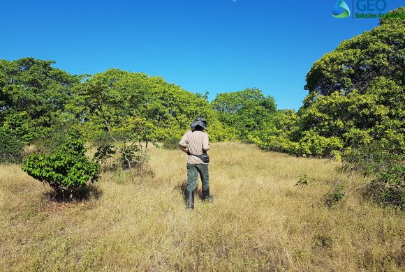 Pesquisa arqueológica no município de Caucaia – Ceará