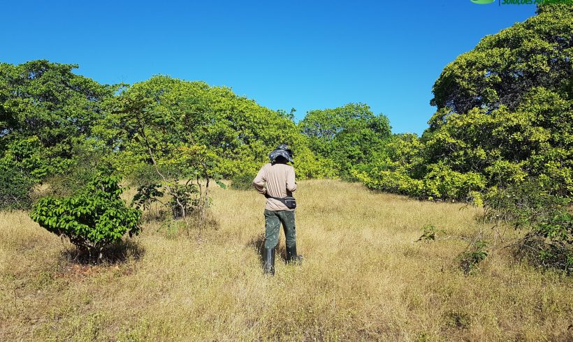 Pesquisa arqueológica no município de Caucaia – Ceará